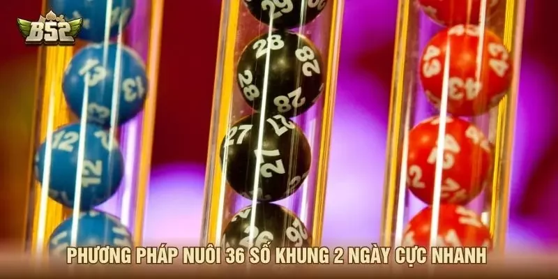 Phương pháp nuôi 36 số khung 2 ngày cực nhanh